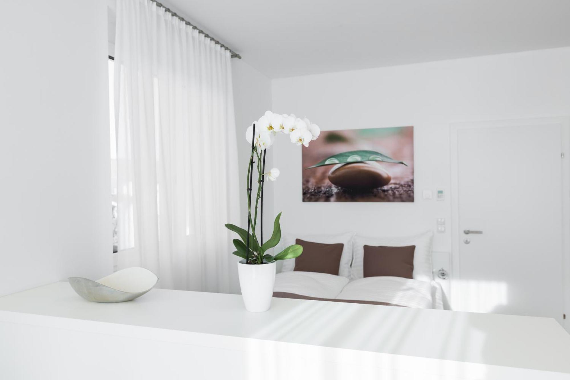 Shome Hotel Graz I Self Check-In I Free Parking Kültér fotó